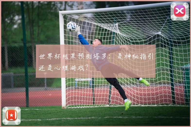 世界杯结果预测塔罗：是神秘指引还是心理游戏？