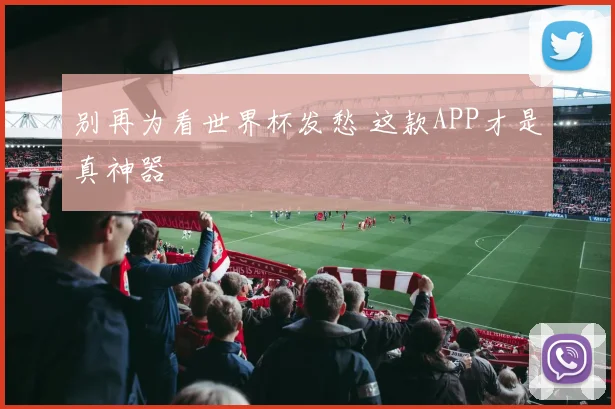 别再为看世界杯发愁 这款APP才是真神器