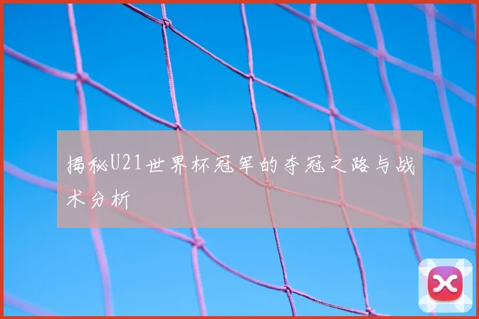 揭秘U21世界杯冠军的夺冠之路与战术分析