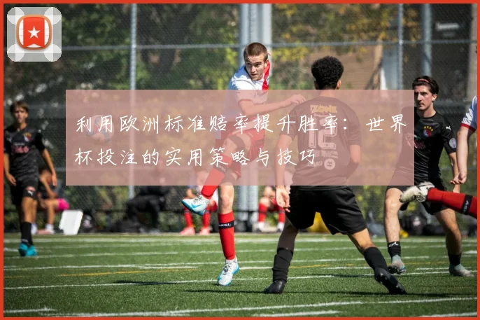 利用欧洲标准赔率提升胜率：世界杯投注的实用策略与技巧