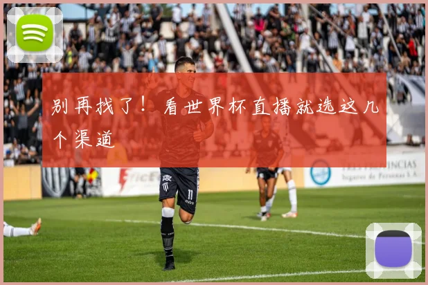 别再找了！看世界杯直播就选这几个渠道