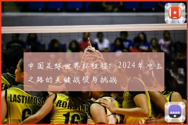 中国足球世界杯征程：2024年冲击之路的关键战役与挑战