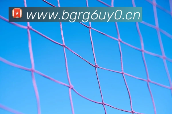 开云手机在线登陆官网平台生态图